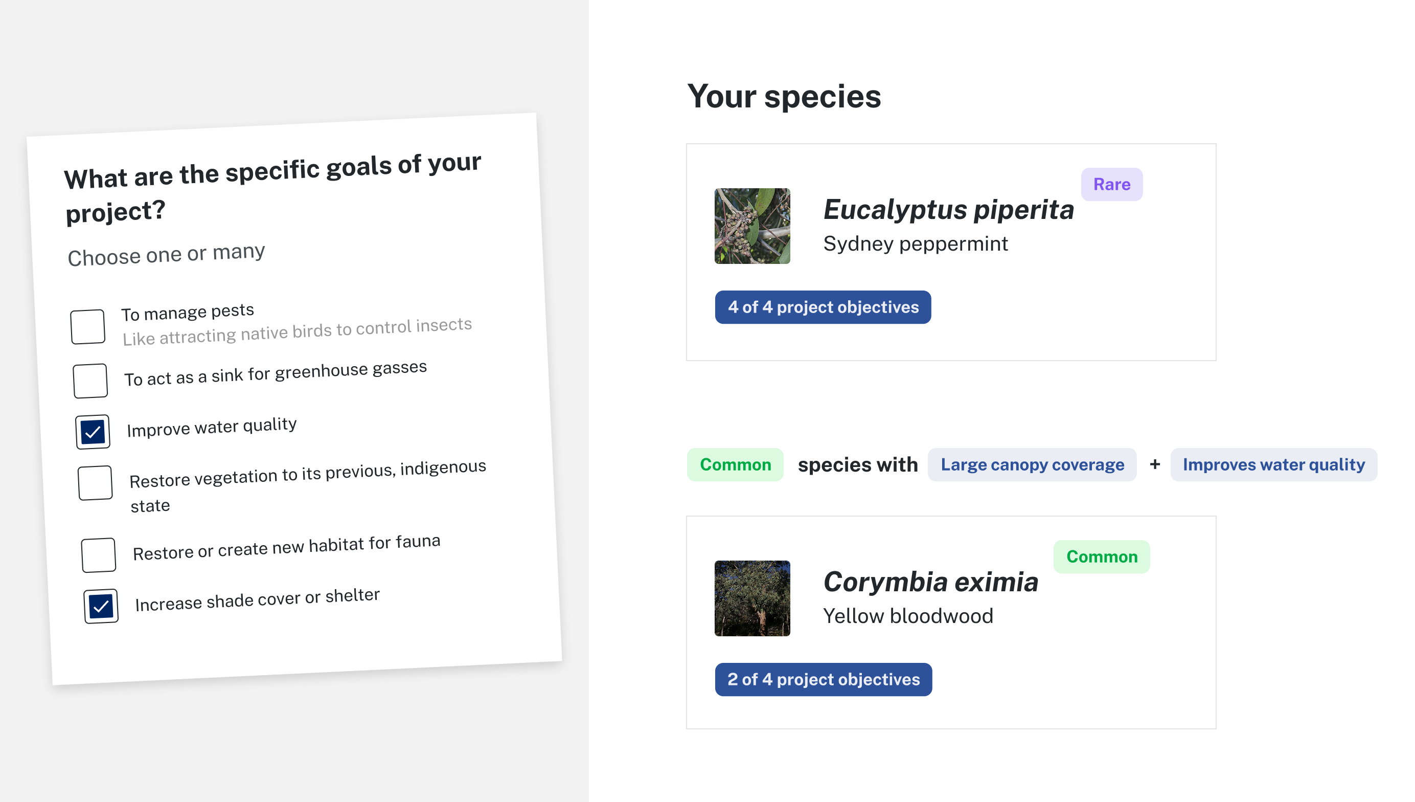 Mockup showing a checkbox form for the question 'What are the specific goals of your project?' and the boxes 'Improve water quality' and 'Increase shade cover or shelter' are chosen. On the right, the mockup shows 2 suggested species.